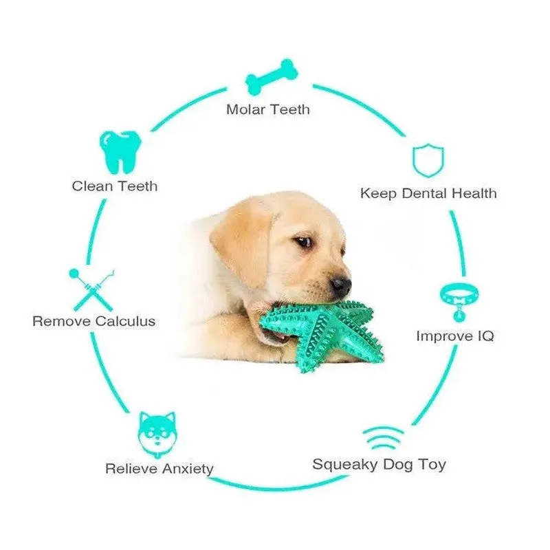 3-Pack Squeaky Toothbrush & Rope Ball Dog Toys