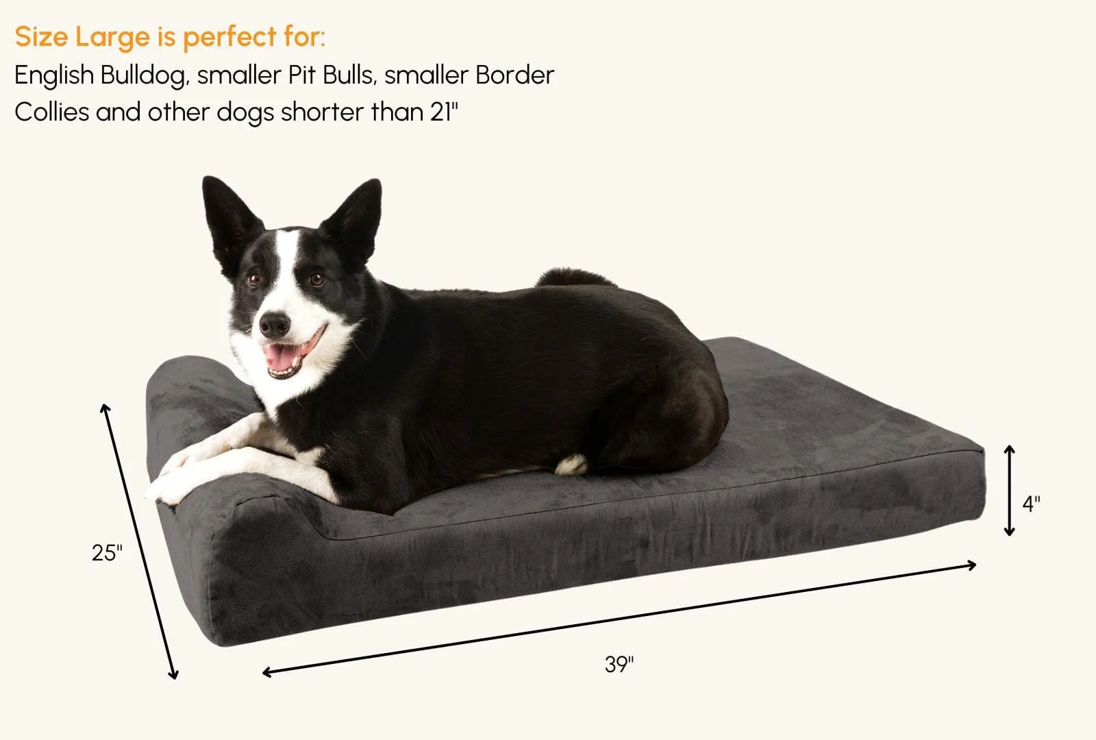 4" Orthopedic Headrest Bed