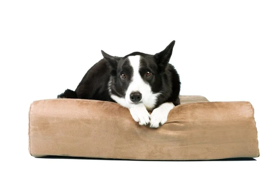 4" Orthopedic Headrest Bed