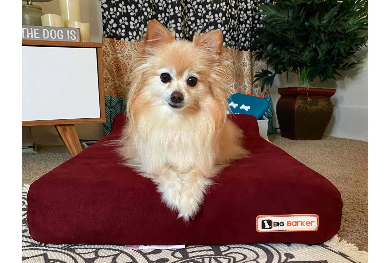 4" Orthopedic Headrest Bed