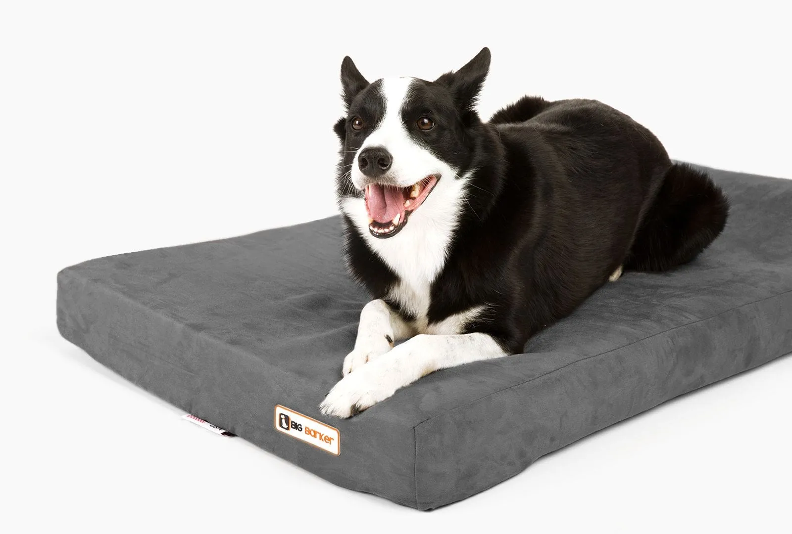 4" Orthopedic Headrest Bed
