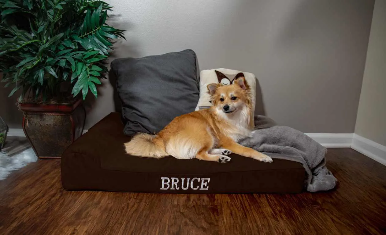 4" Orthopedic Headrest Bed