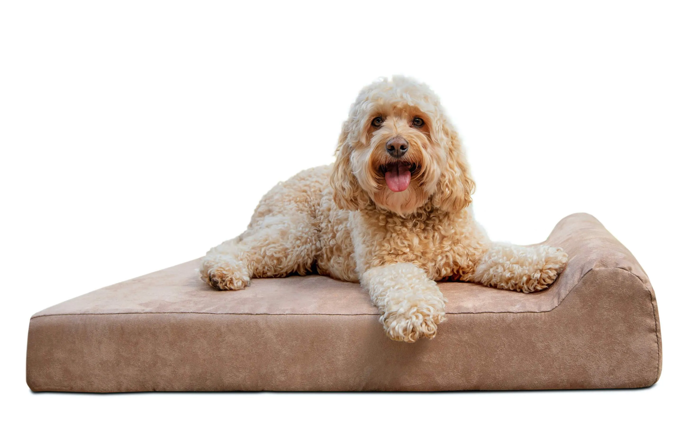 4" Orthopedic Headrest Bed