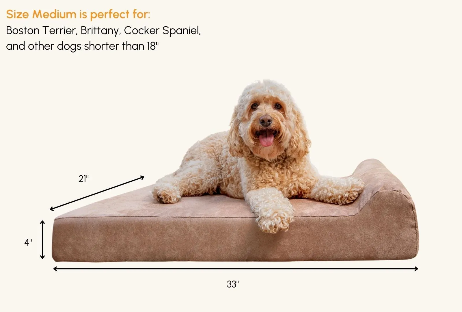 4" Orthopedic Headrest Bed