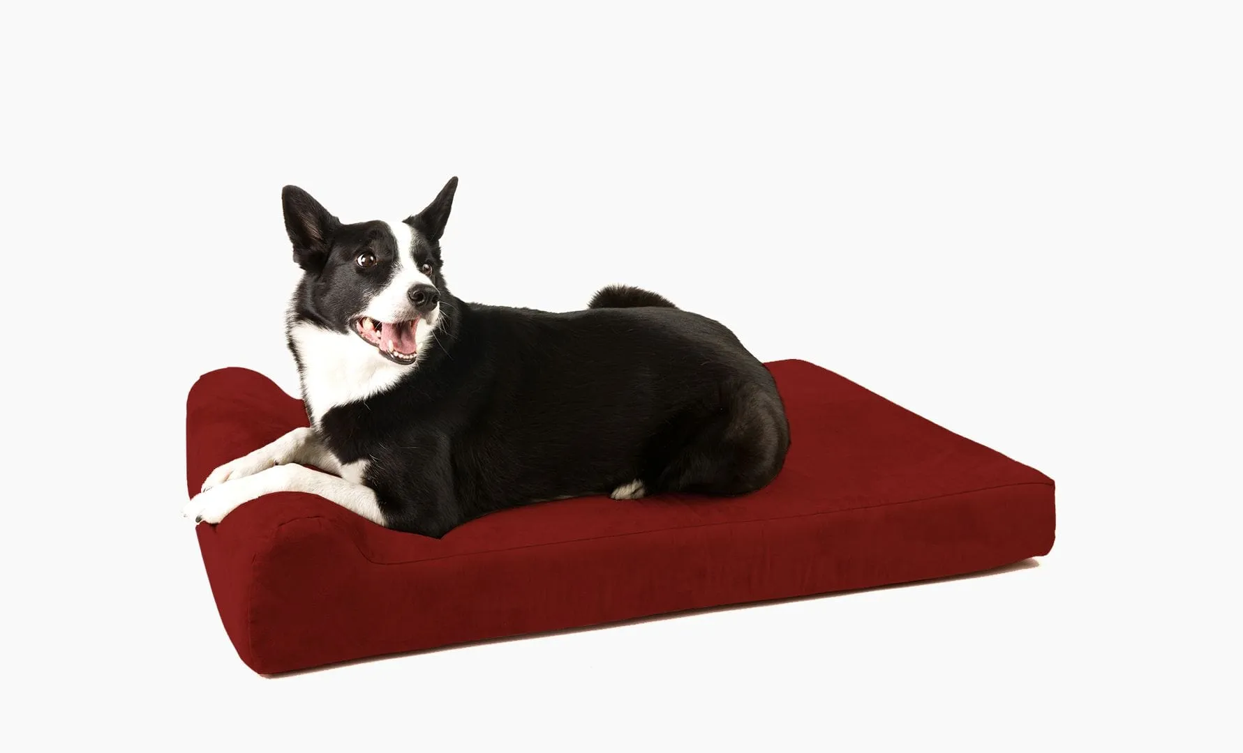 4" Orthopedic Headrest Bed