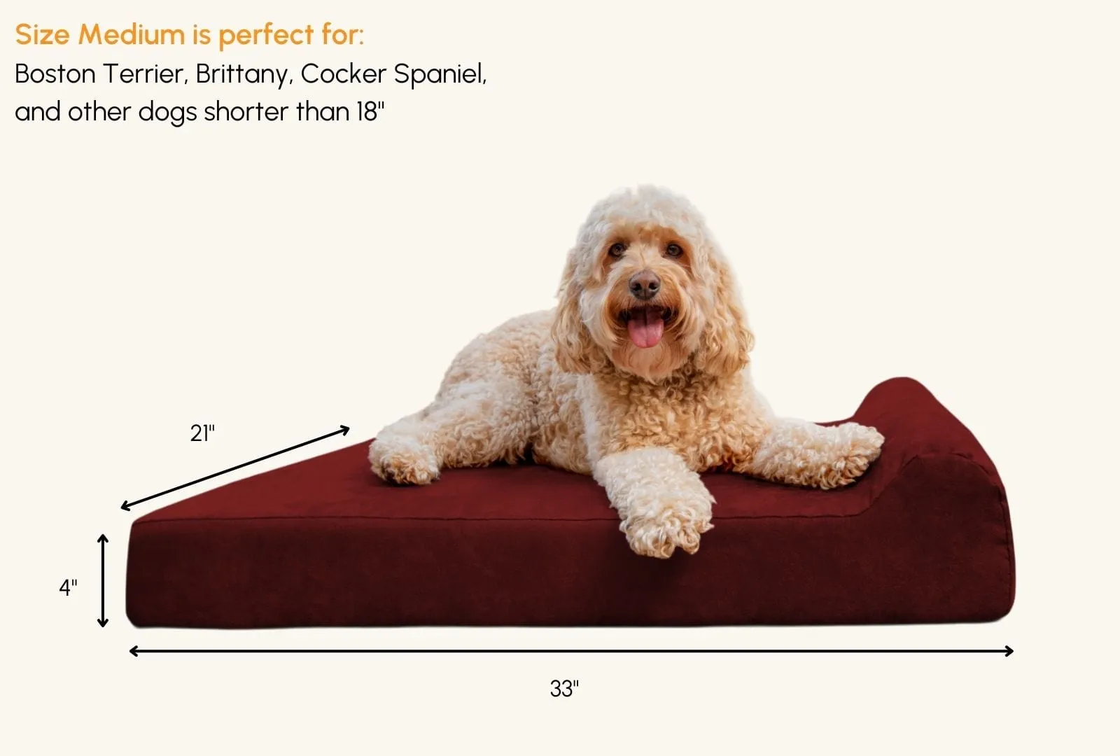 4" Orthopedic Headrest Bed