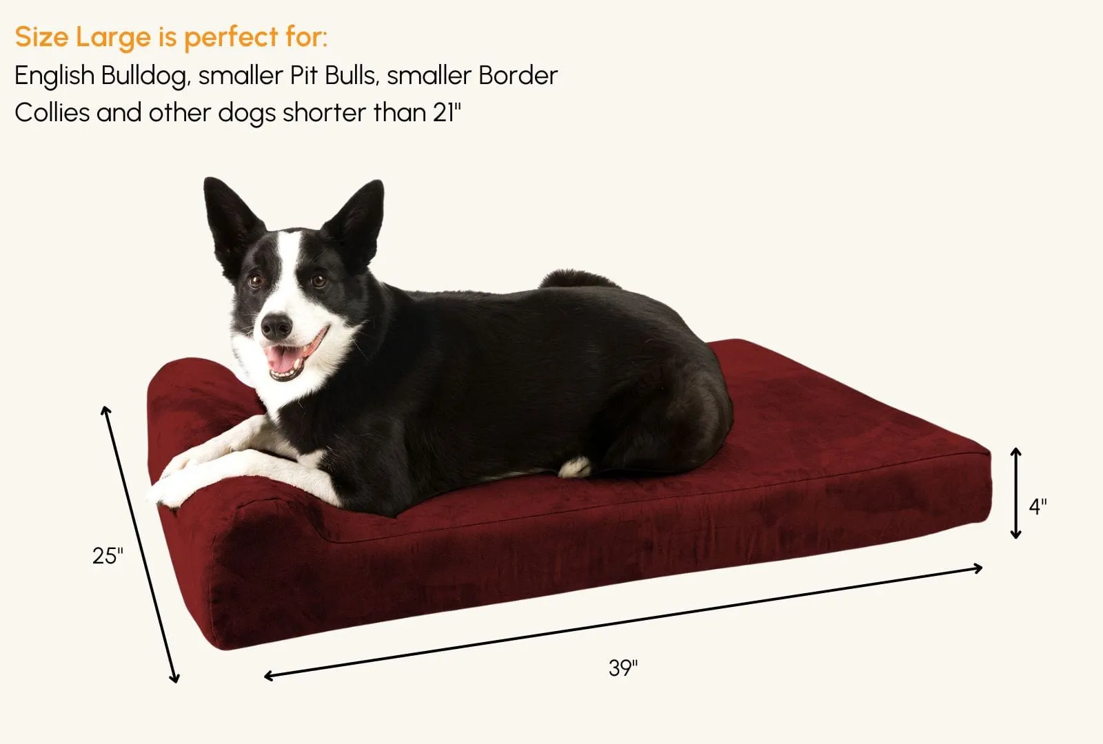 4" Orthopedic Headrest Bed