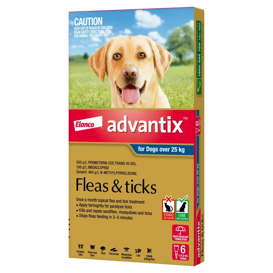 Advantix Dog Extra Large Grey