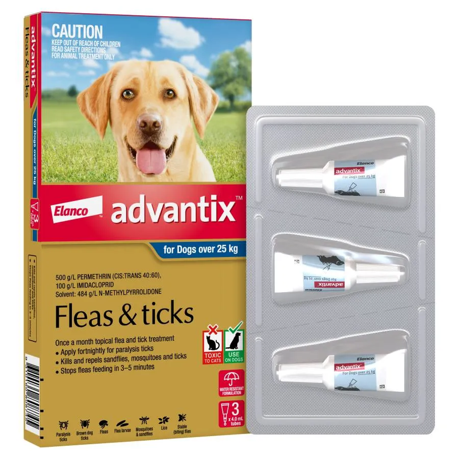 Advantix Dog Extra Large Grey
