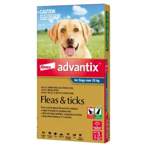 Advantix Dog Extra Large Grey