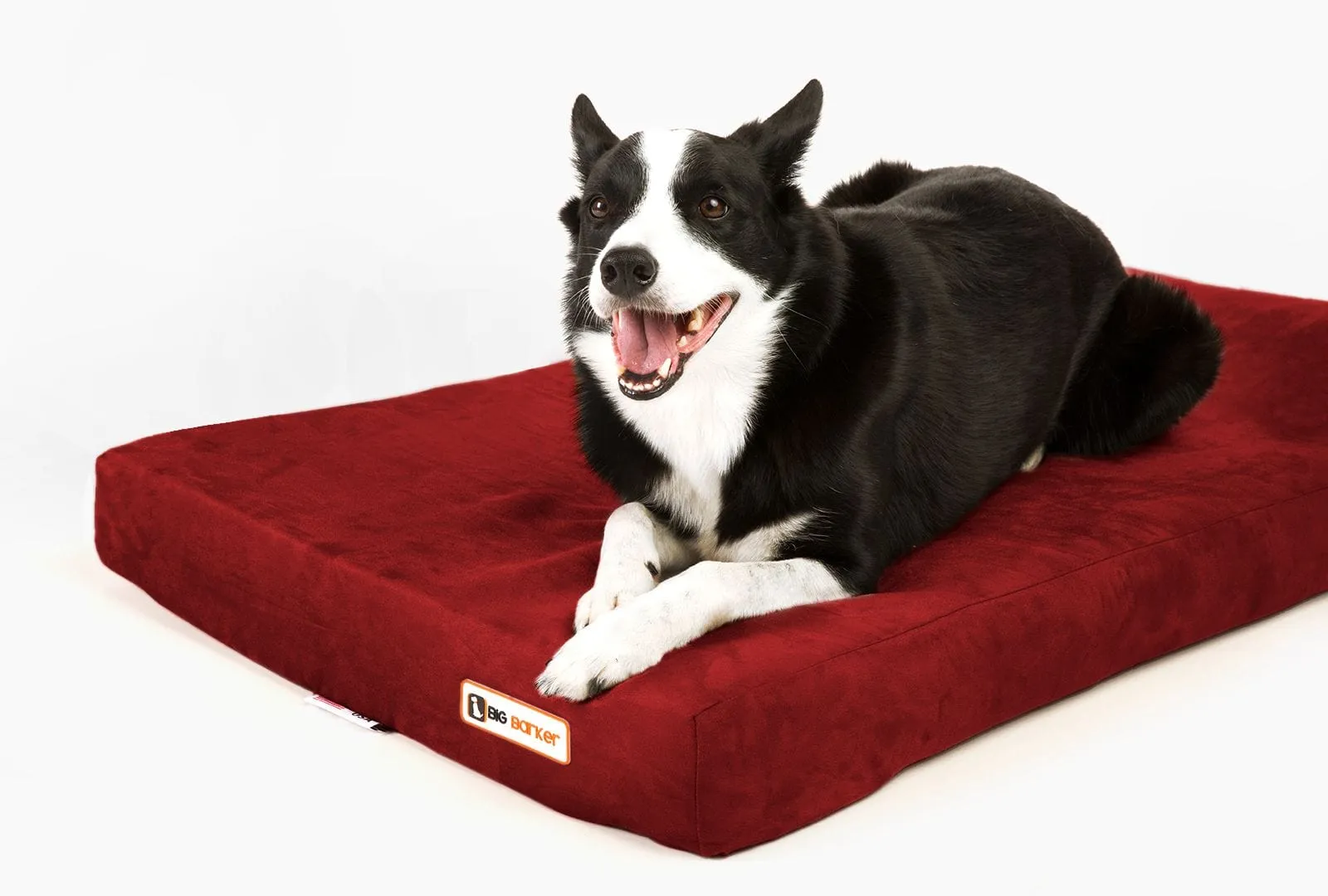 Barker Junior