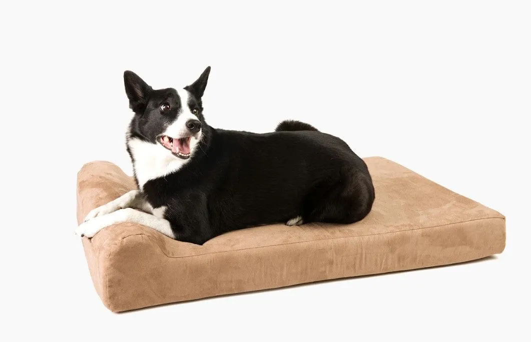 Barker Junior