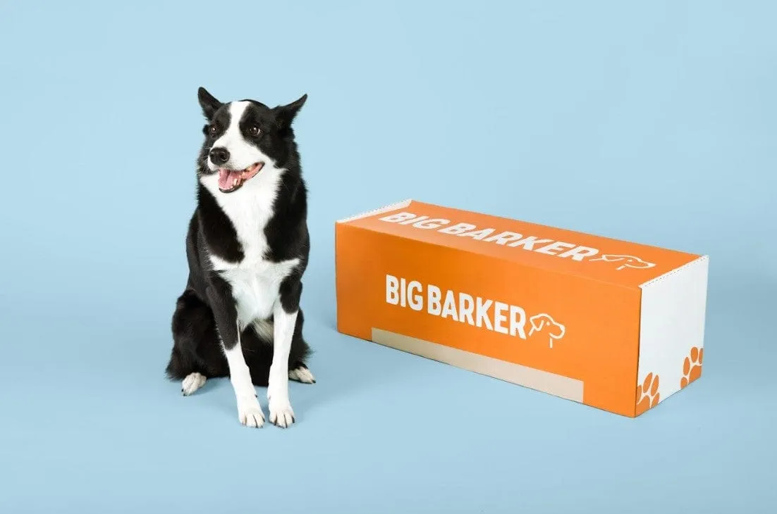 Barker Junior