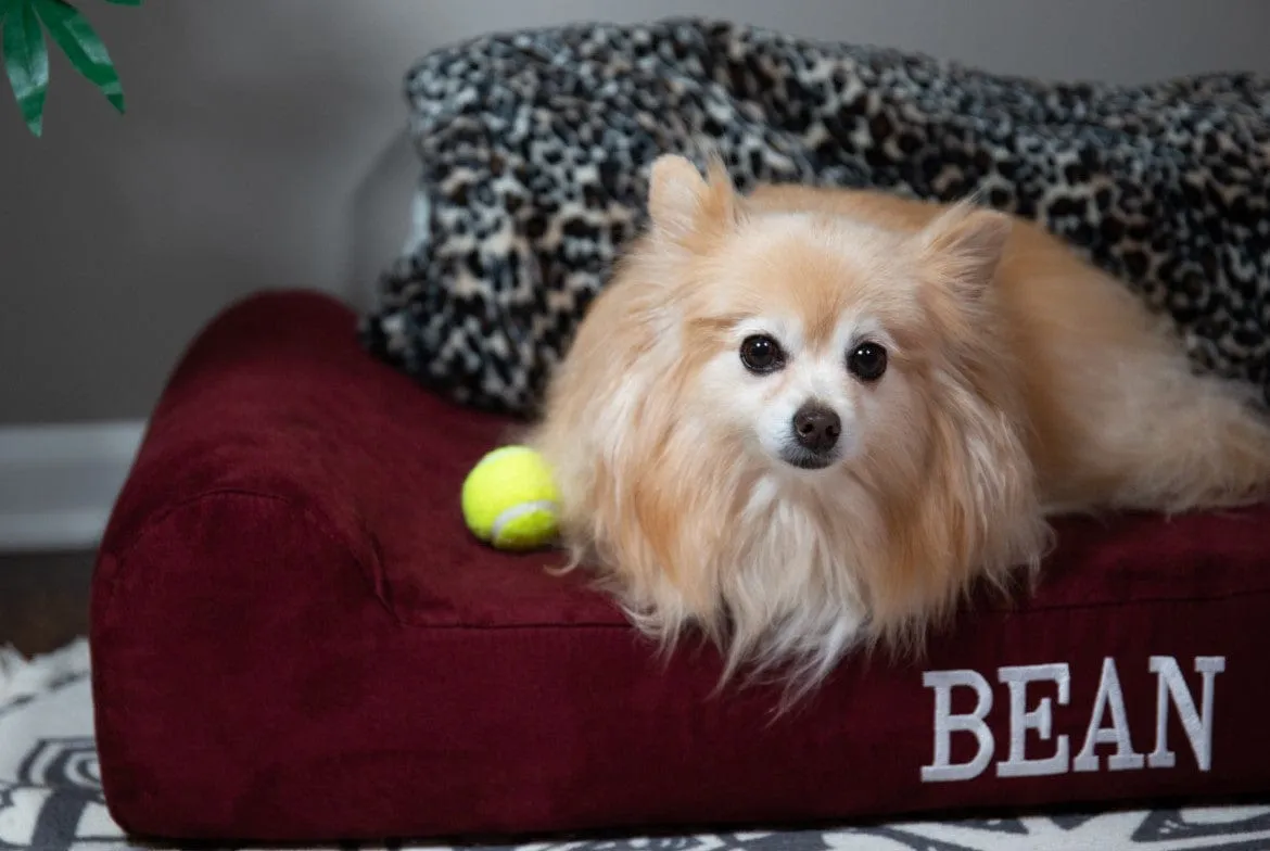 Barker Junior