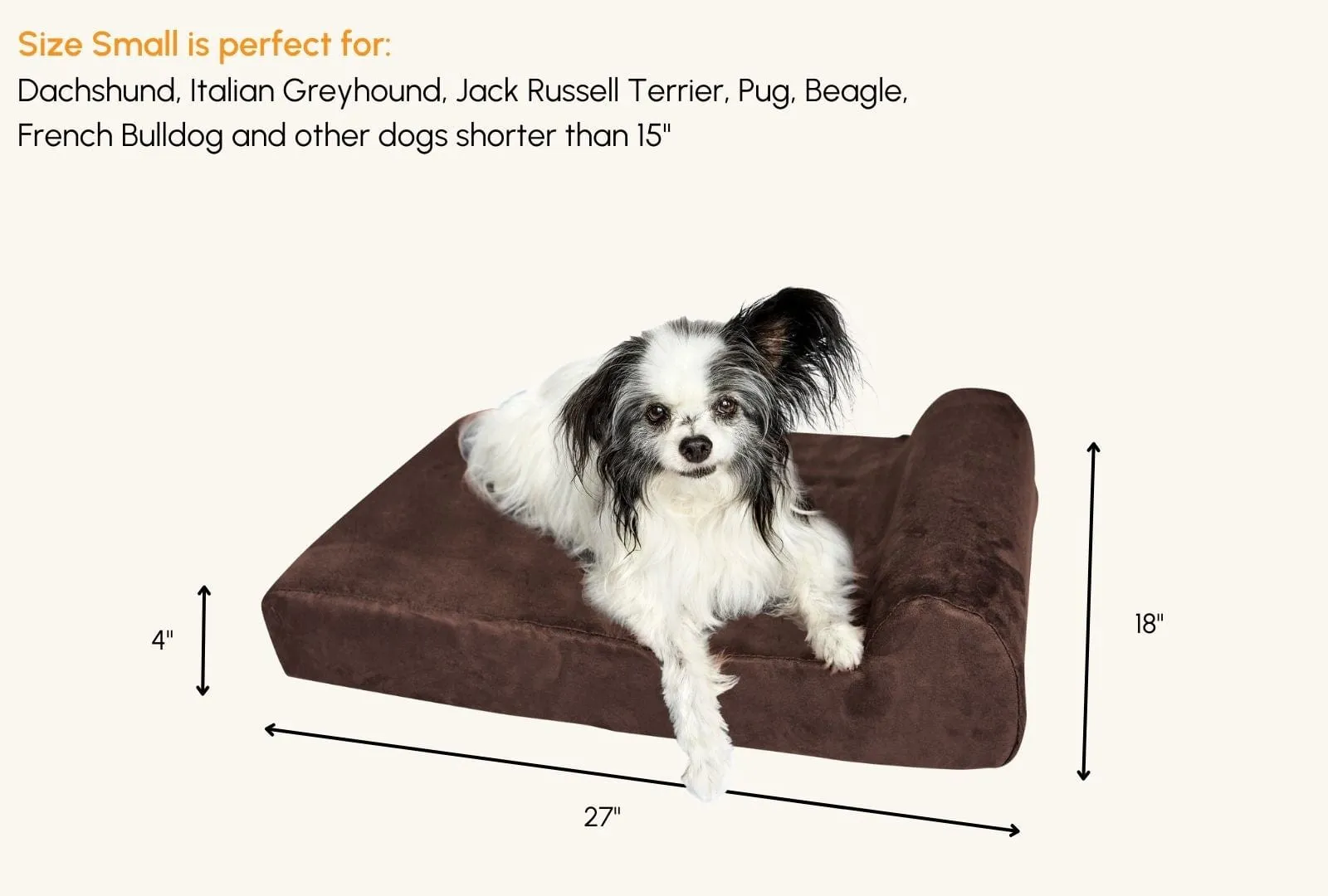 Barker Junior