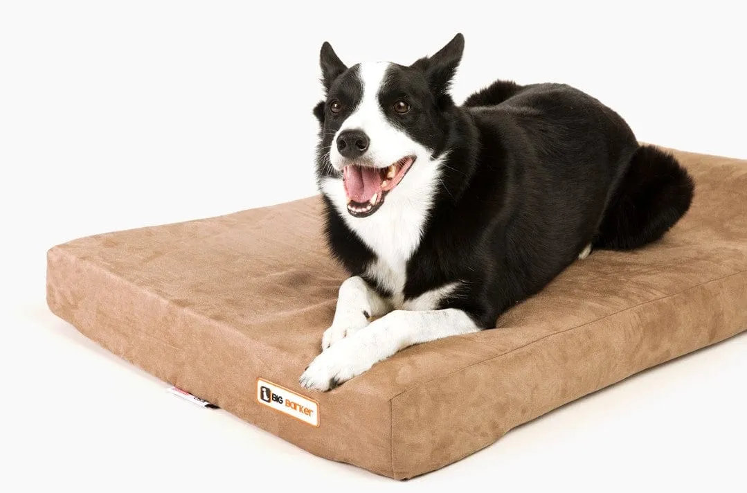 Barker Junior