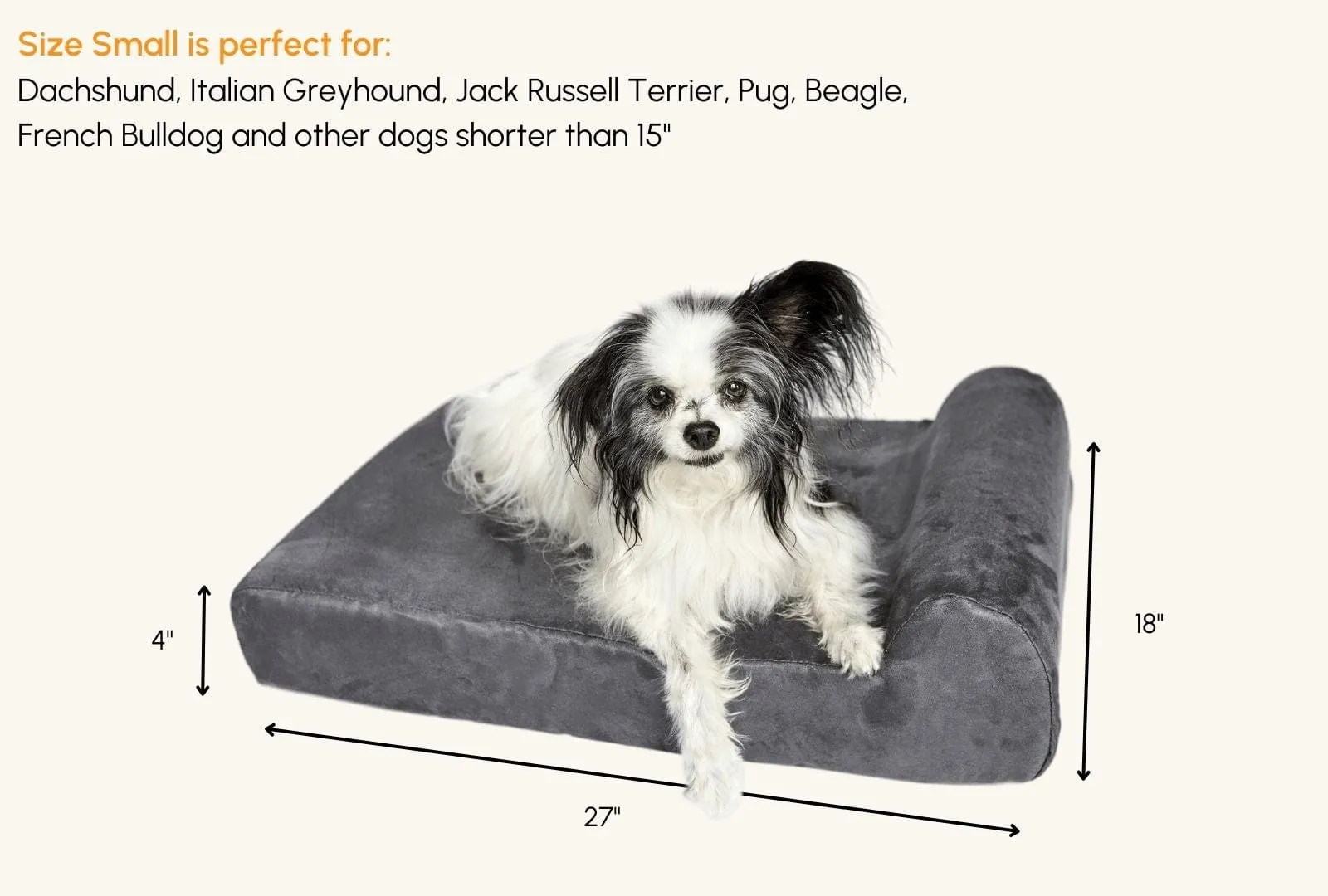 Barker Junior