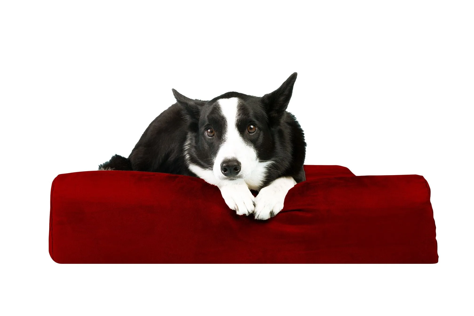 Barker Junior