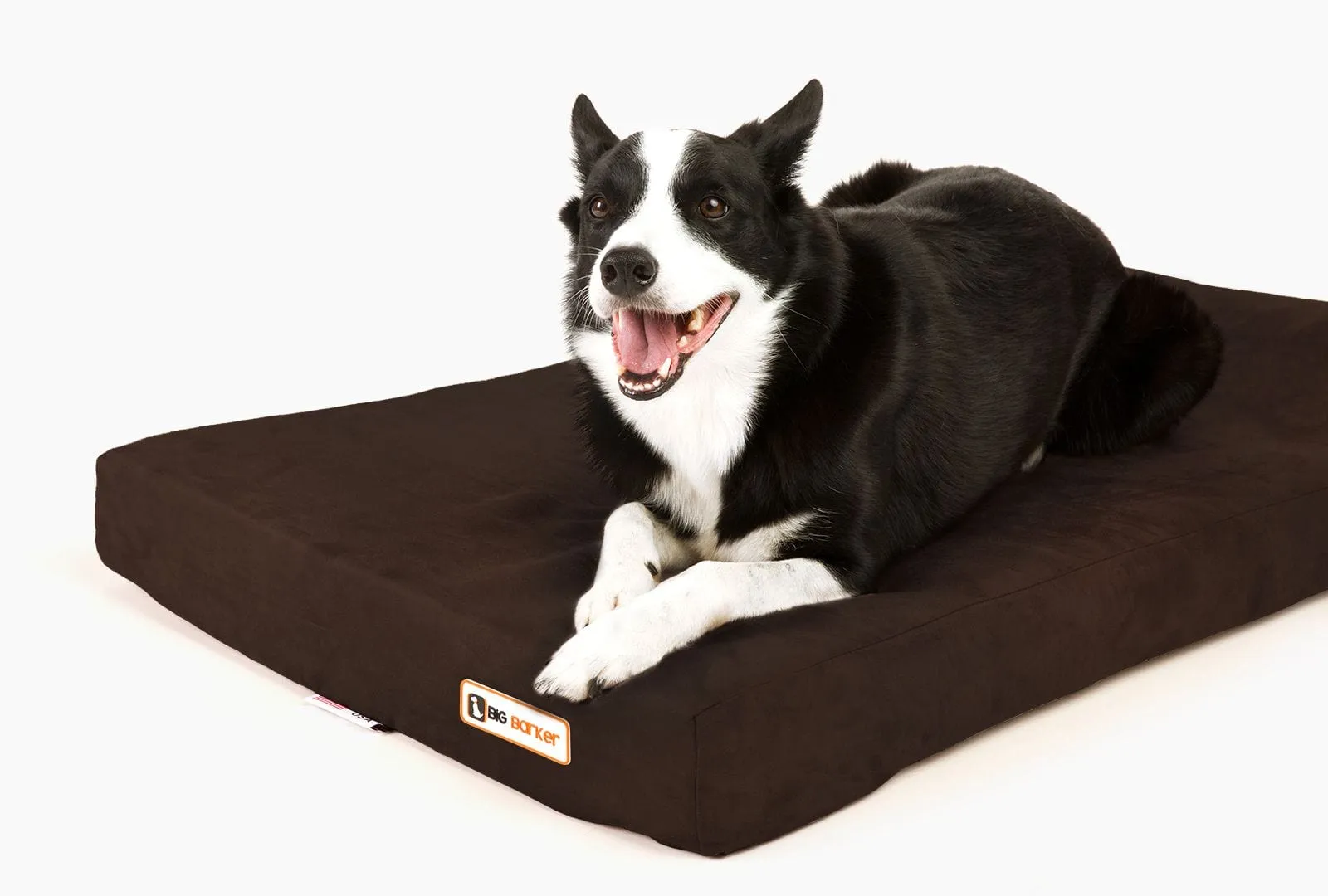 Barker Junior