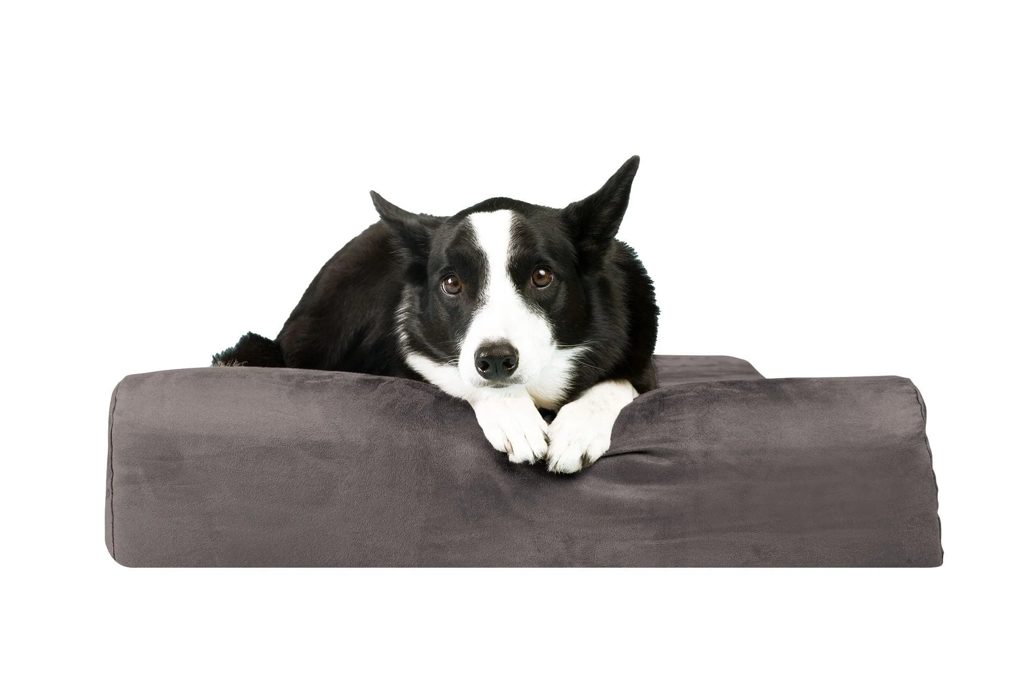 Barker Junior
