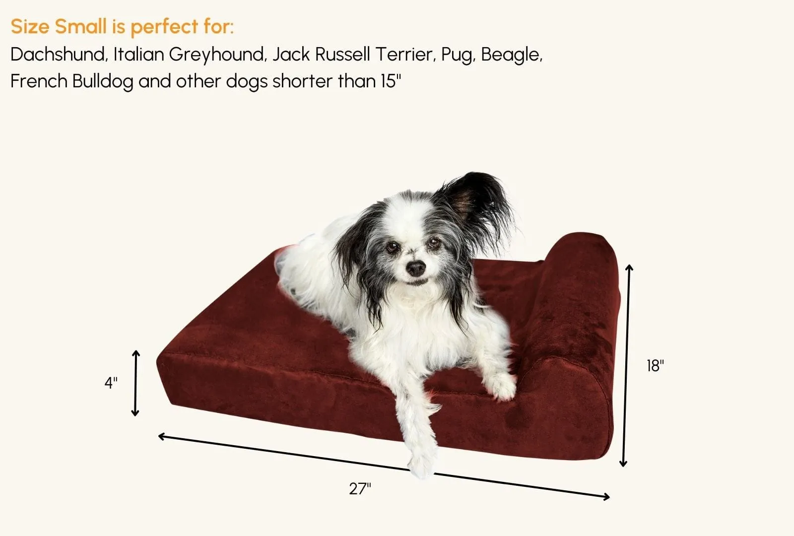 Barker Junior