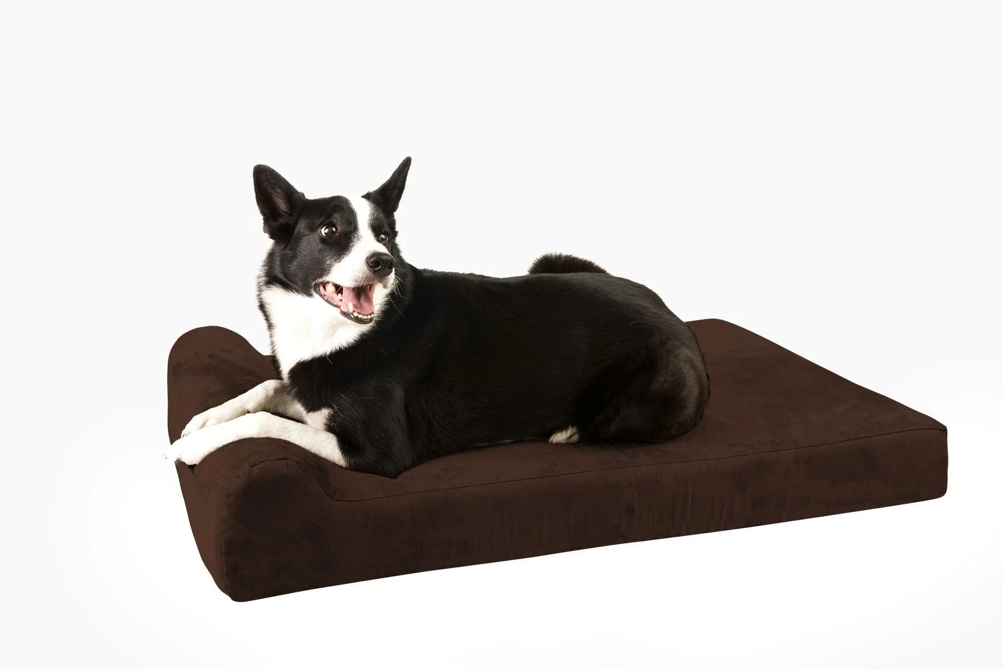 Barker Junior