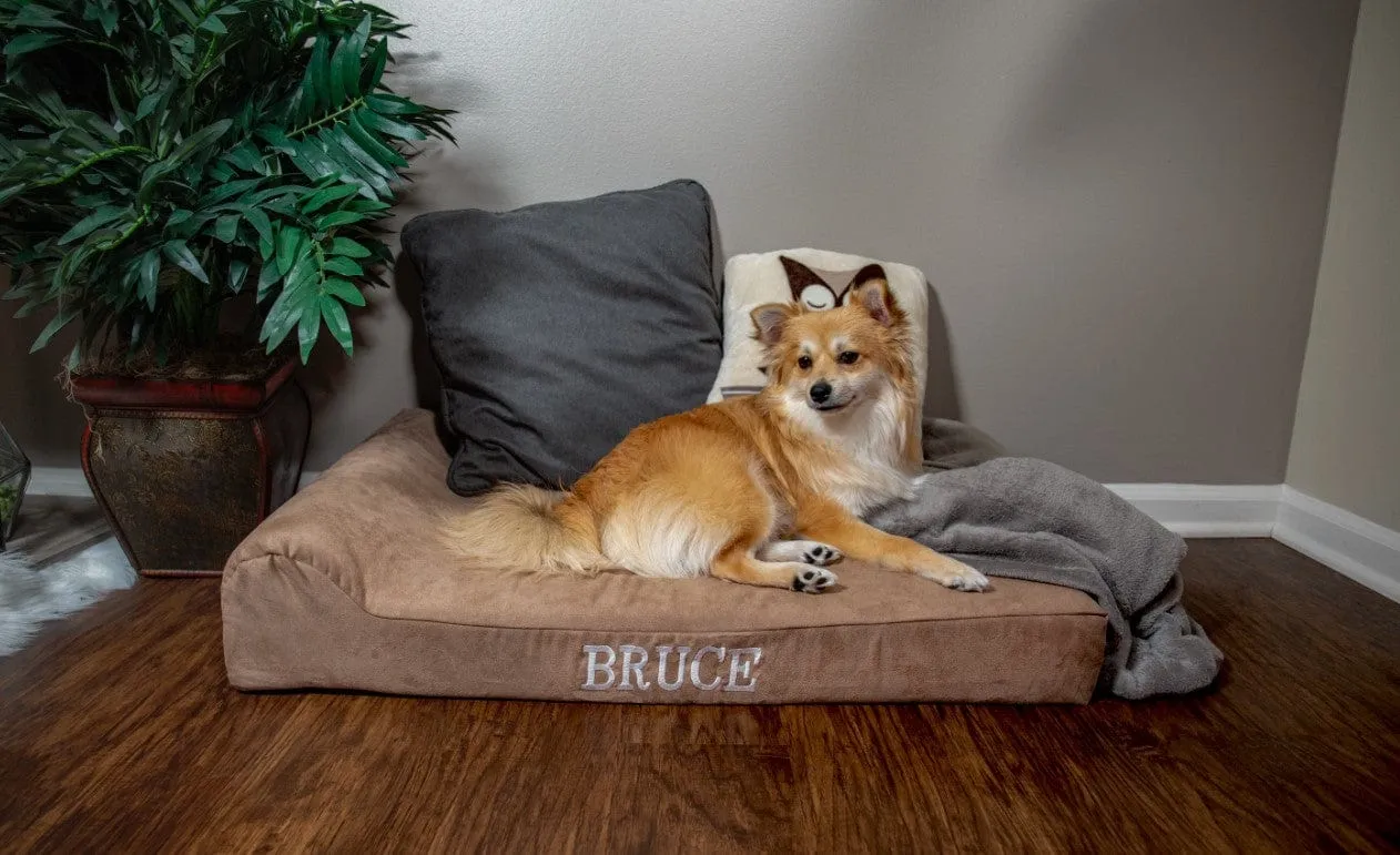 Barker Junior