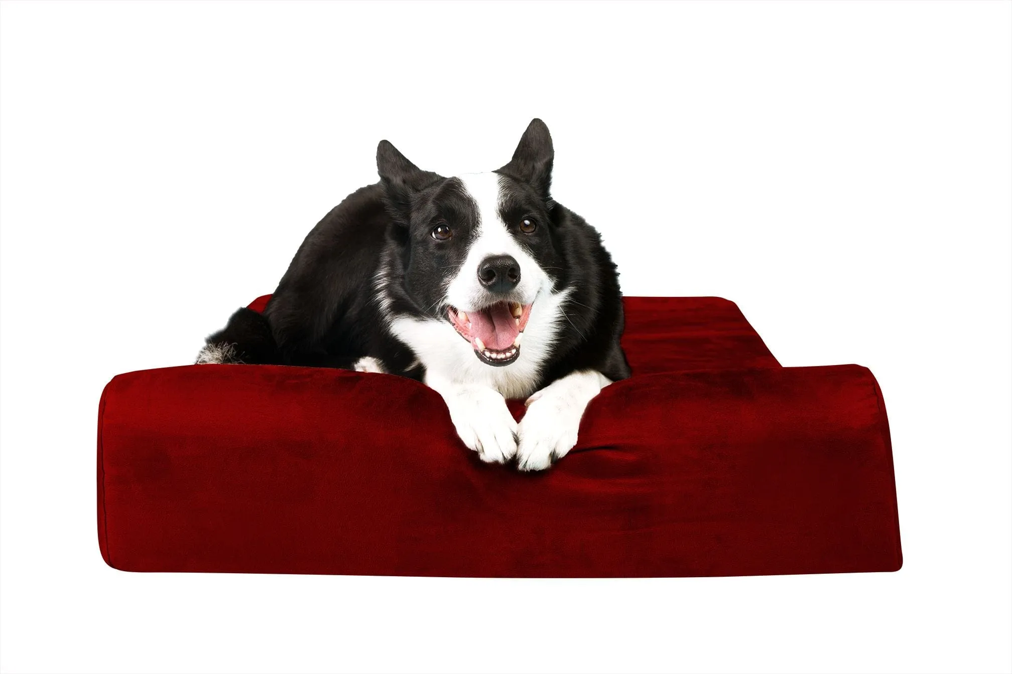 Barker Junior