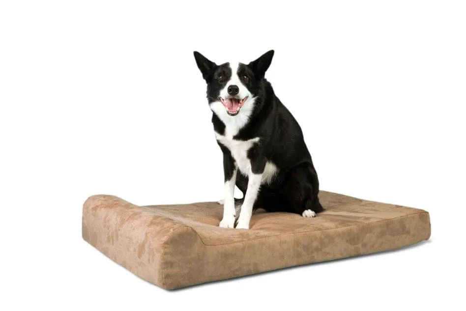 Barker Junior