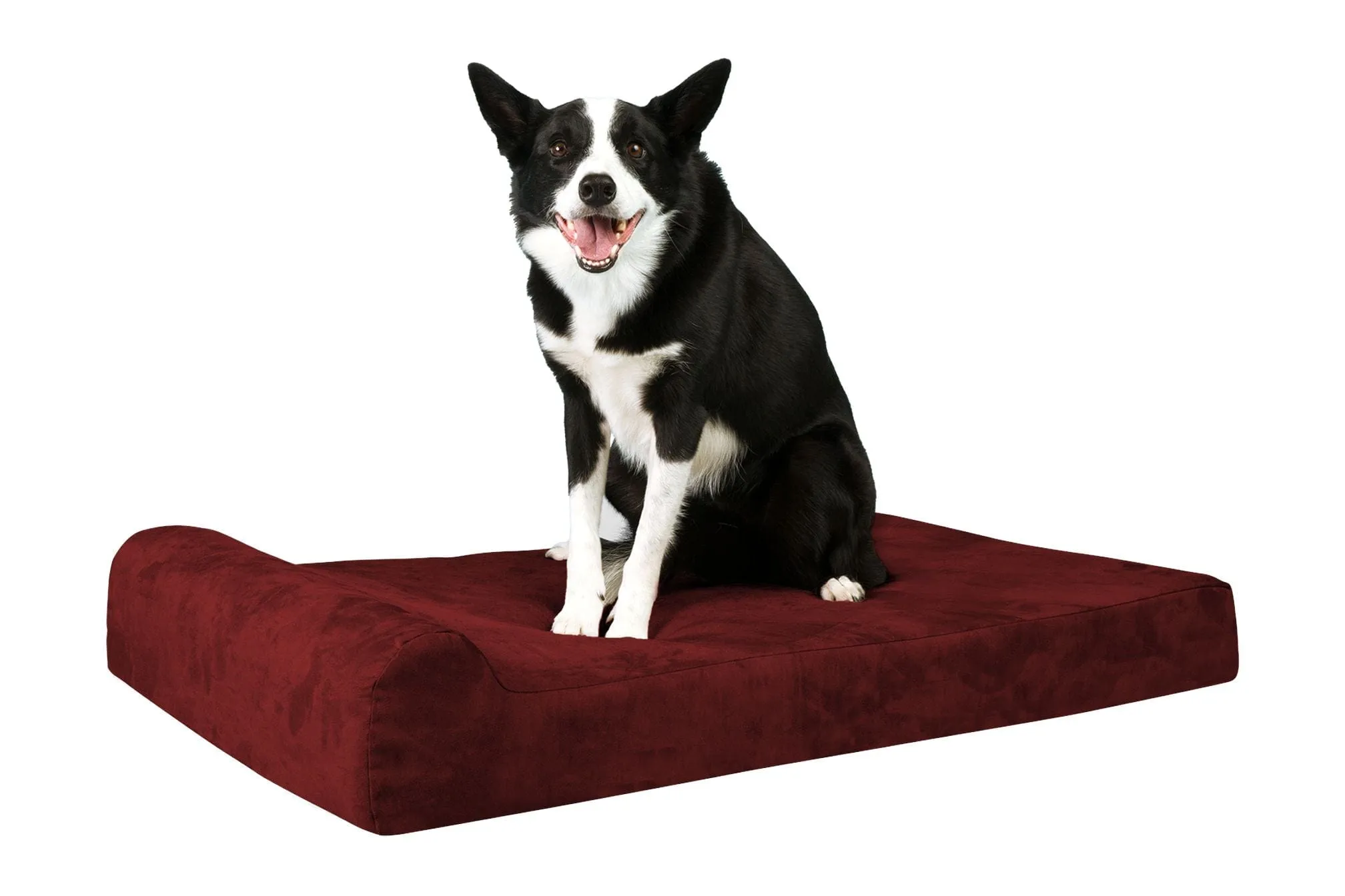 Barker Junior