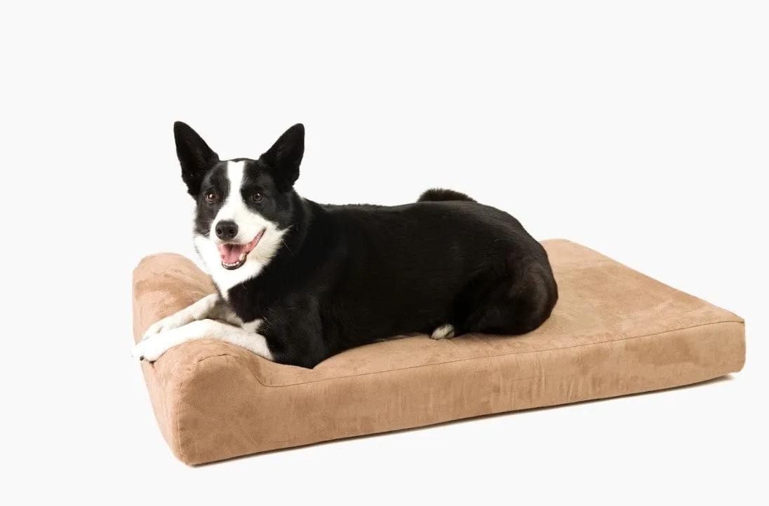 Barker Junior