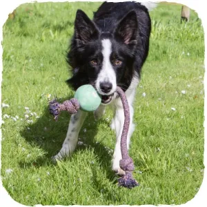 Beco Ball On A Rope Green