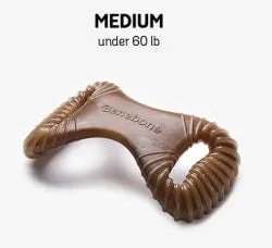Benebone Peanut Butter Flavored Rocking Dental Chew Toy