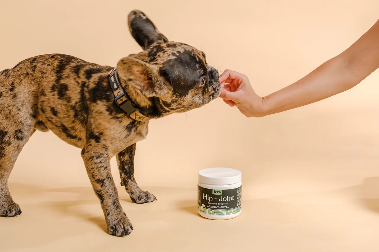 Fera Pet Organics Dog and Cat Supplement, Hip   Joint Support for Dogs