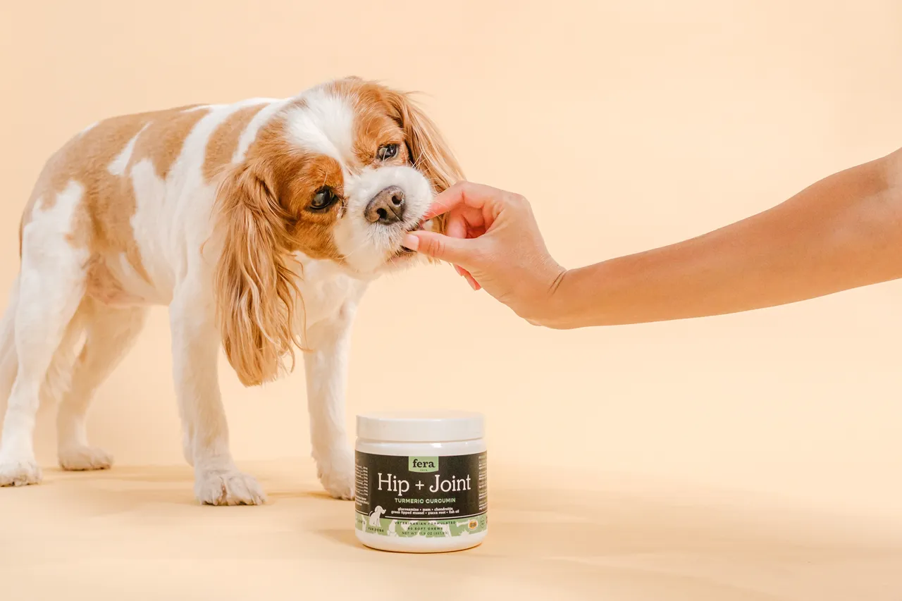 Fera Pet Organics Dog and Cat Supplement, Hip   Joint Support for Dogs