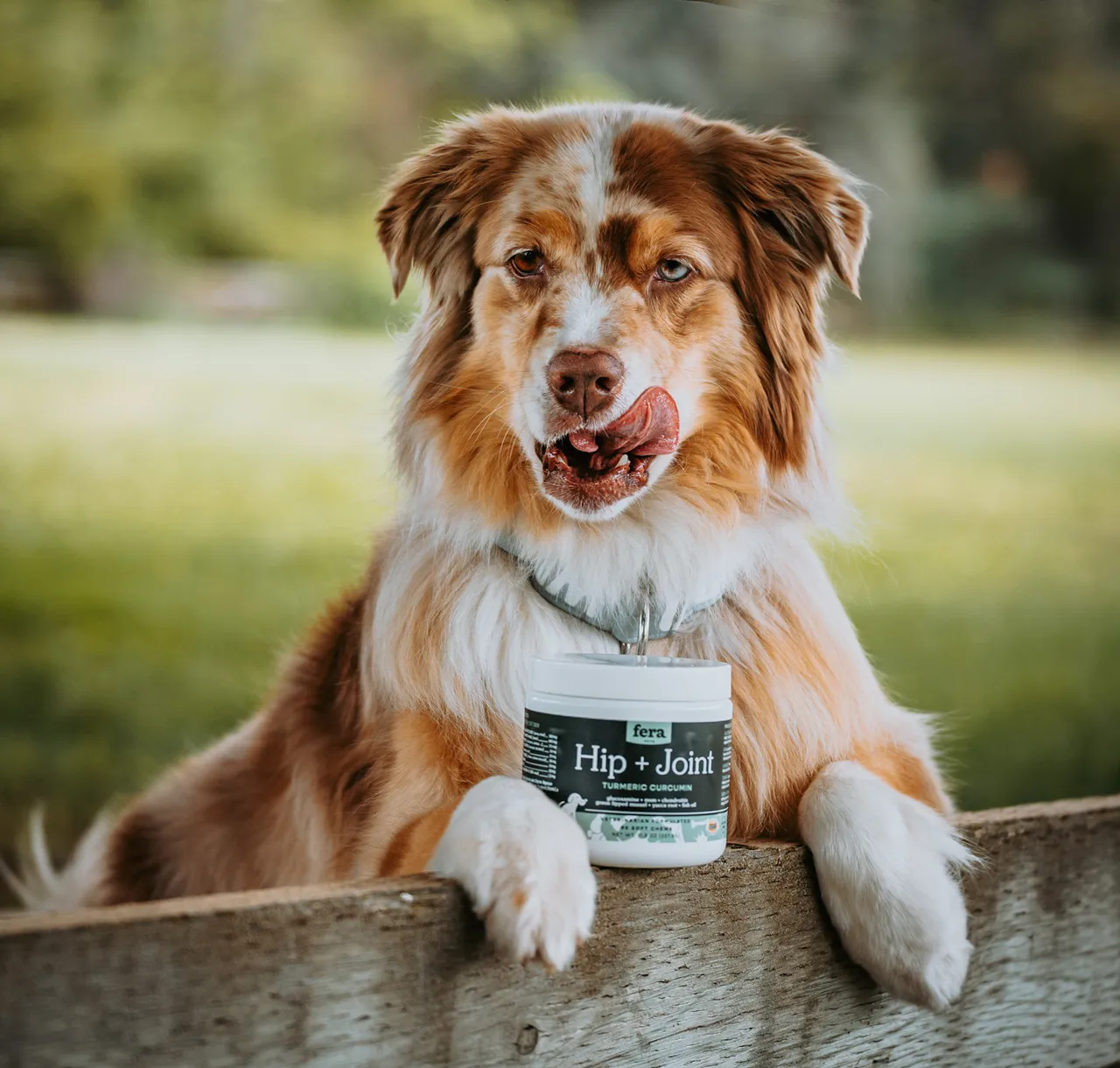 Fera Pet Organics Dog and Cat Supplement, Hip   Joint Support for Dogs