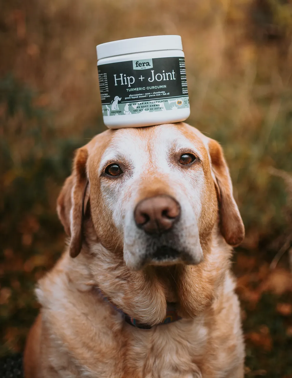 Fera Pet Organics Dog and Cat Supplement, Hip   Joint Support for Dogs