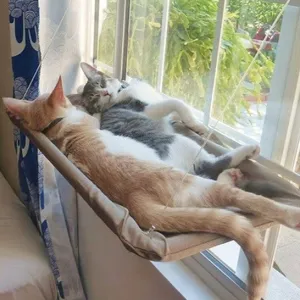 Gentle Paws™ Cat Window Hanging Bed