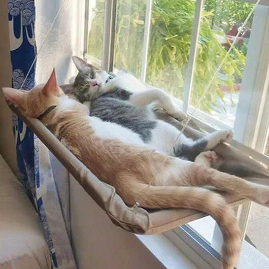 Gentle Paws™ Cat Window Hanging Bed