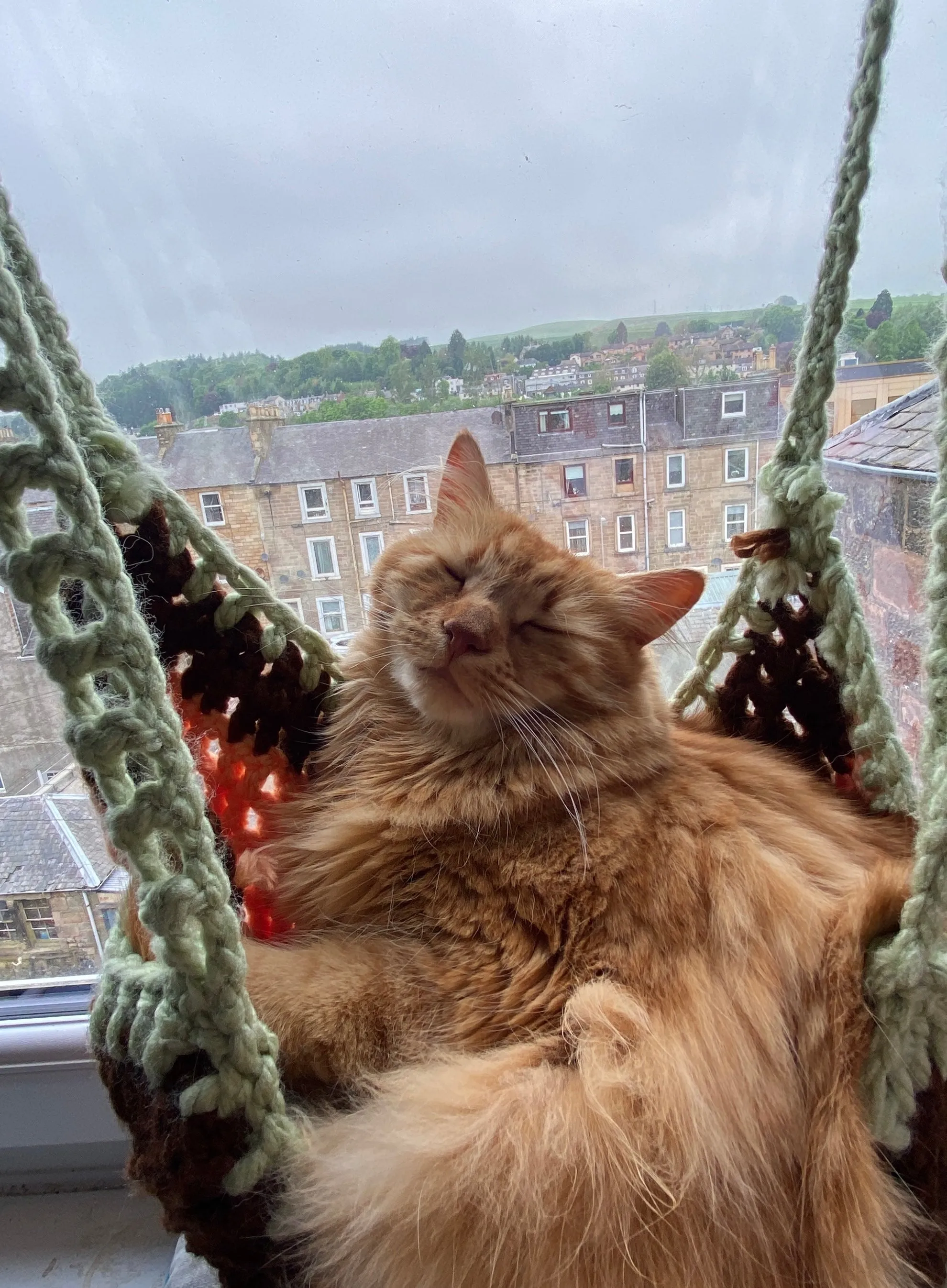 Handmade Crochet Cat Hammock