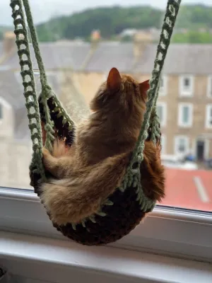 Handmade Crochet Cat Hammock