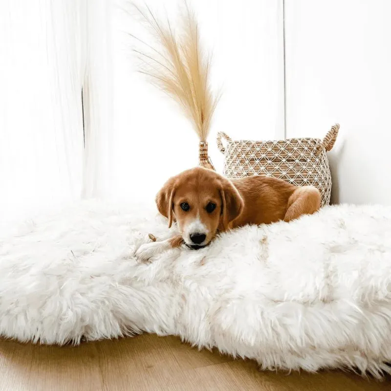 Paw Brands, PupCloud™ Faux Fur Memory Foam Dog Bed, Curve White
