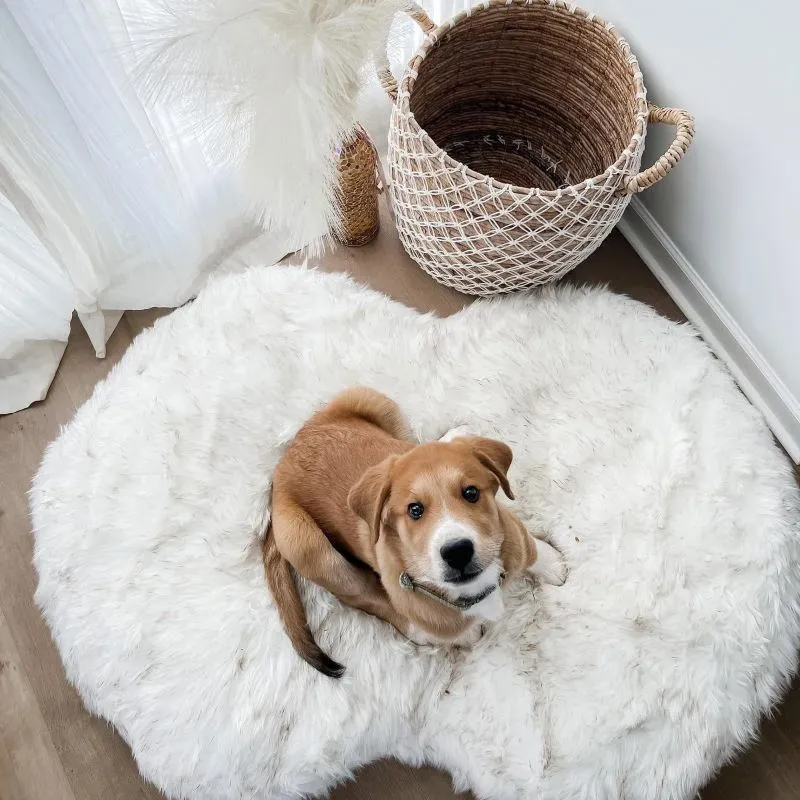 Paw Brands, PupCloud™ Faux Fur Memory Foam Dog Bed, Curve White