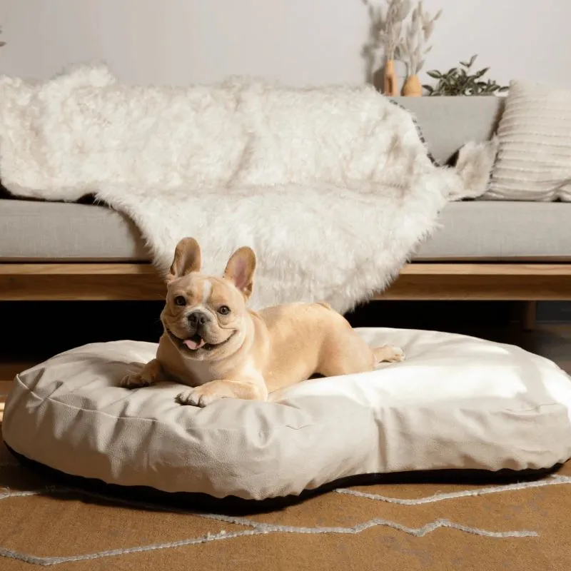 Paw Brands, PupCloud™ Faux Leather Memory Foam Dog Bed, Cream