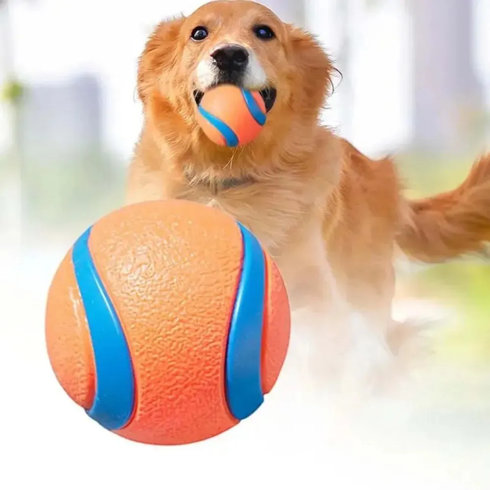 Pet Fetch Ball Dog Chew Toys