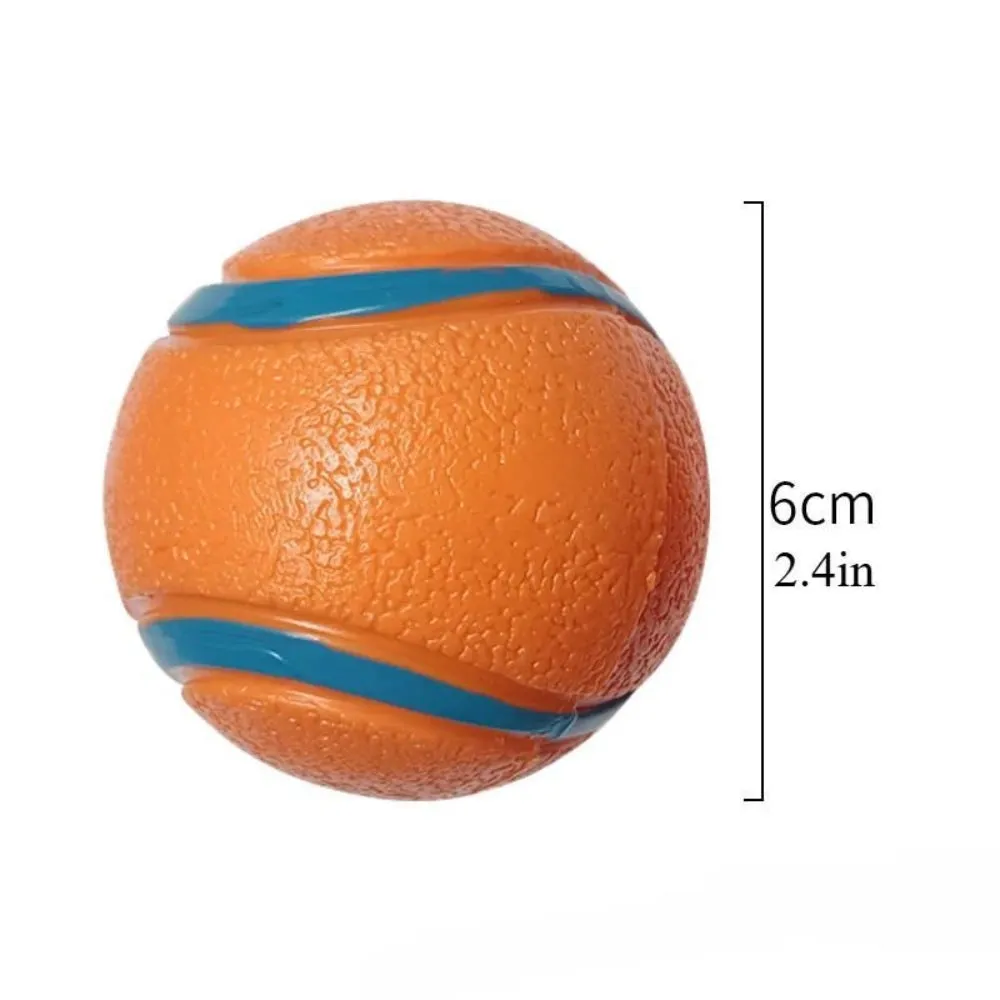 Pet Fetch Ball Dog Chew Toys