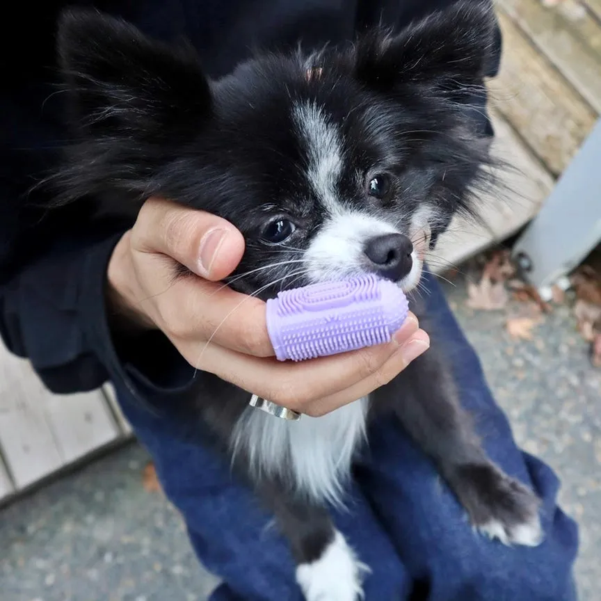 Pet Grooming Set