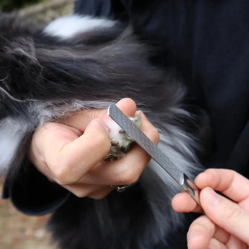 Pet Grooming Set