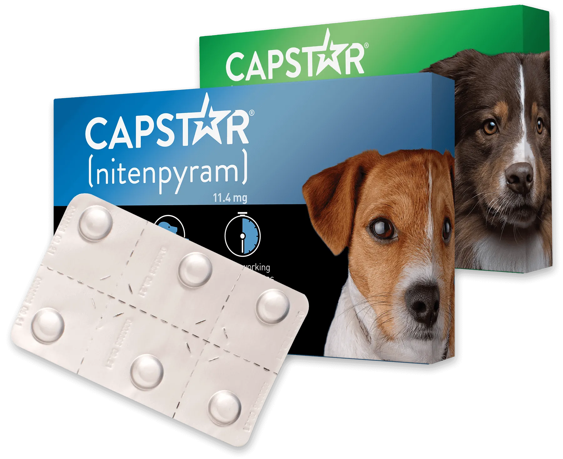 PetIQ CAPSTAR® (nitenpyram) Fast-Acting Oral Flea Treatment for Dogs