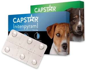 PetIQ CAPSTAR® (nitenpyram) Fast-Acting Oral Flea Treatment for Dogs